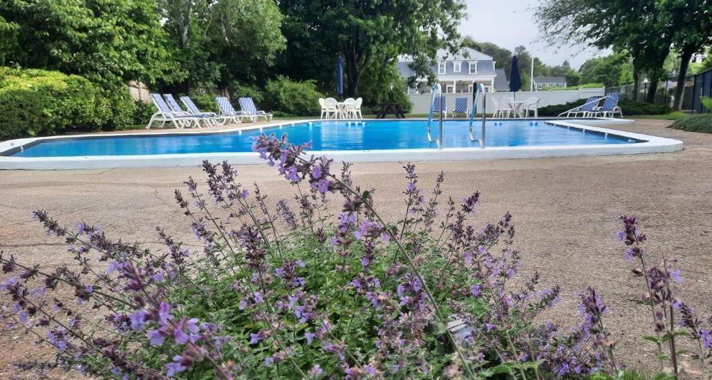 Harwichport Resort Club ฮาริชพอร์ต ภายนอก รูปภาพ